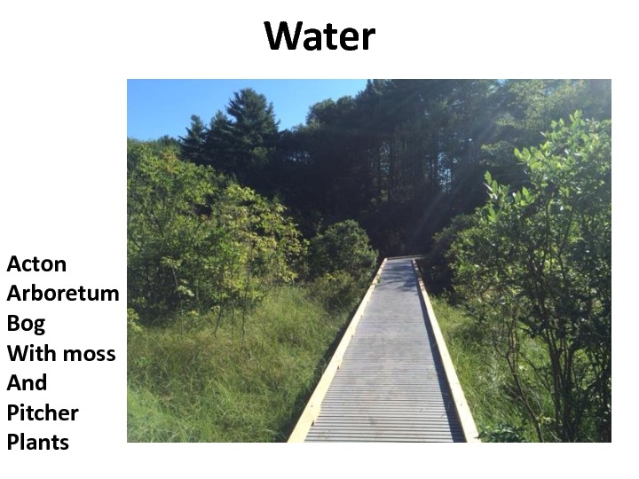 gratitude-slides-18