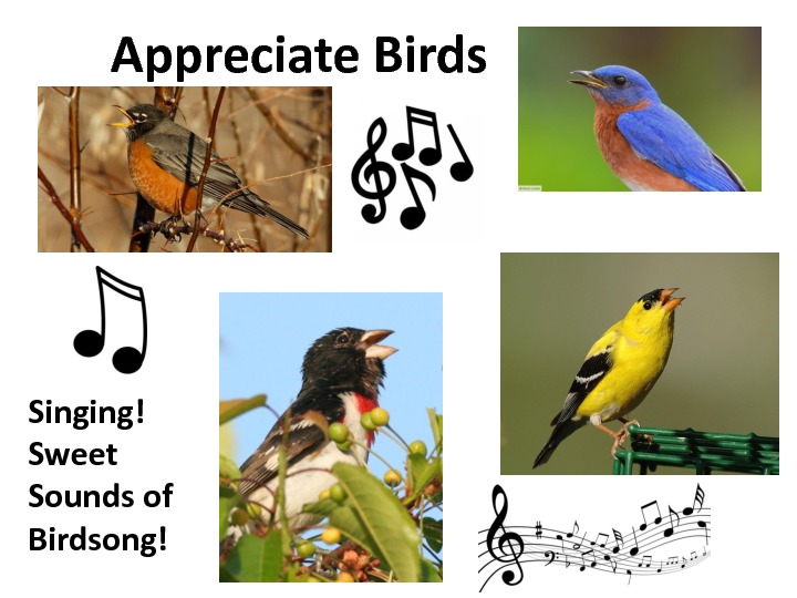 gratitude-slides-19