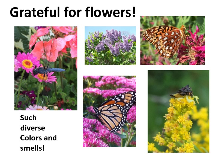 gratitude-slides-23