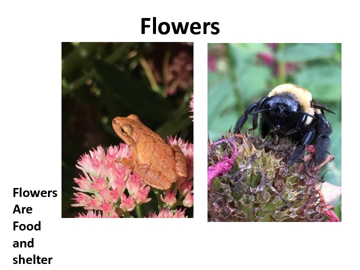 gratitude-slides-24
