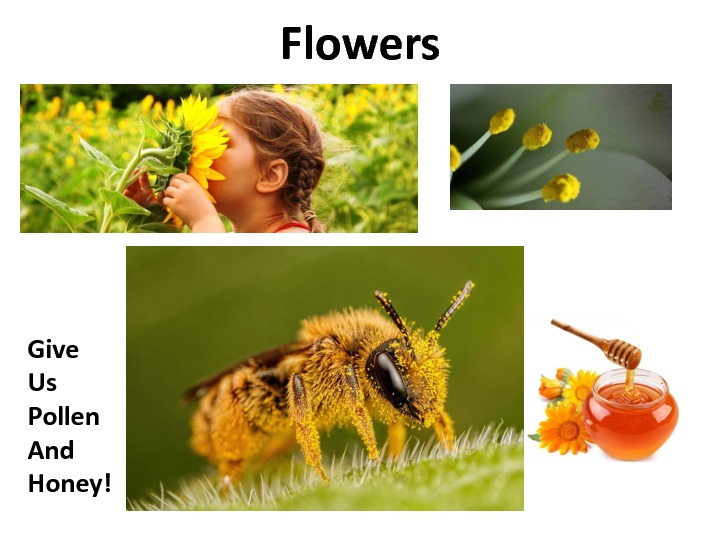 gratitude-slides-25