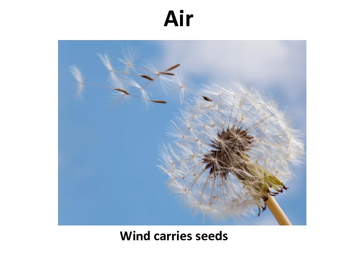 gratitude-slides-36