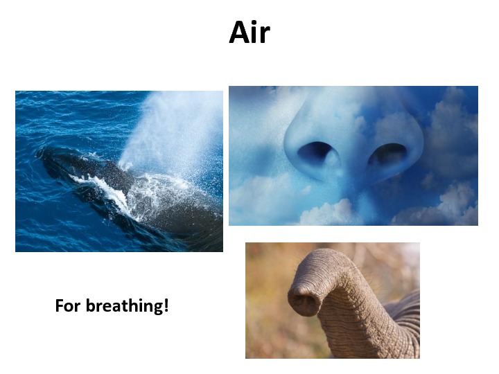 gratitude-slides-37