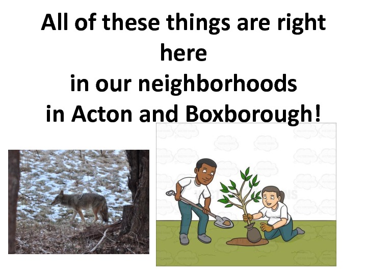 gratitude-slides-45