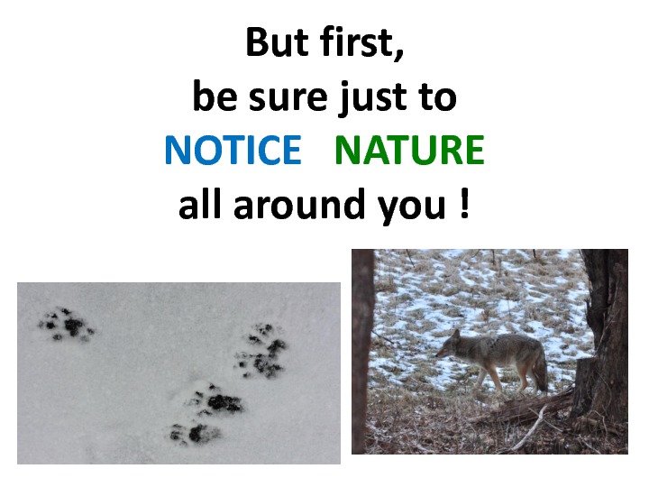 gratitude-slides-52