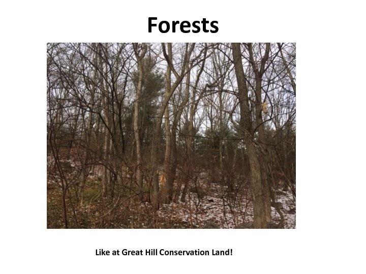 gratitude-slides-6