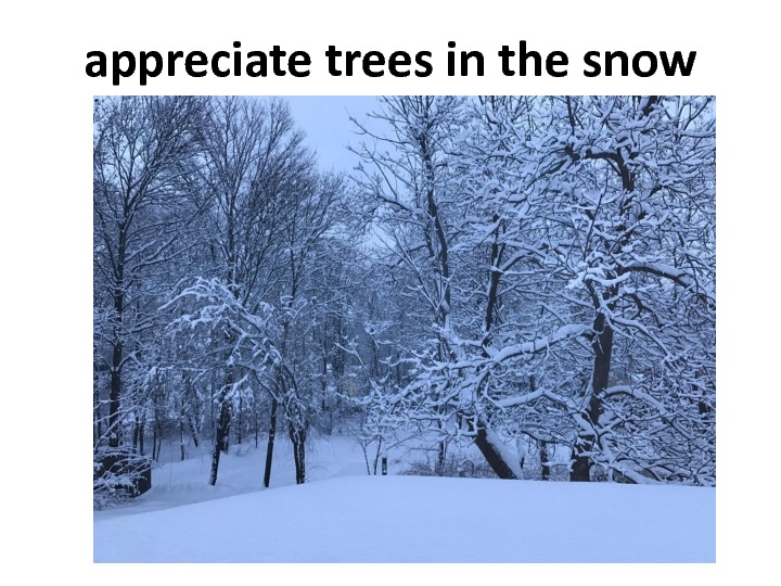 gratitude-slides-7