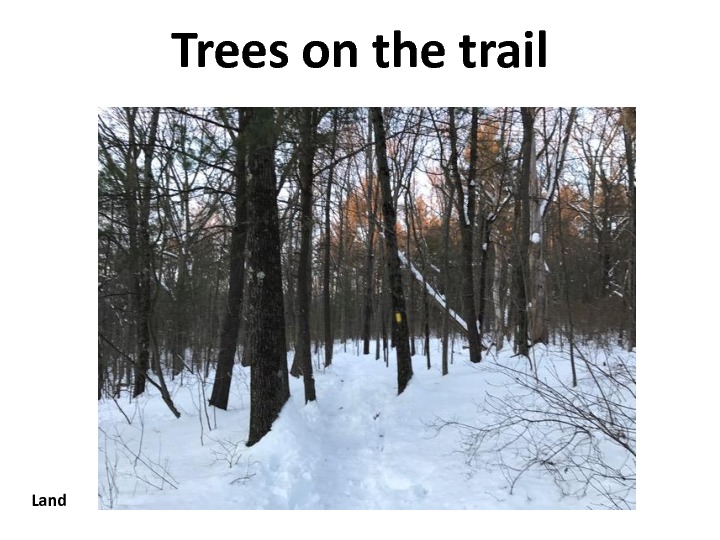 gratitude-slides-8