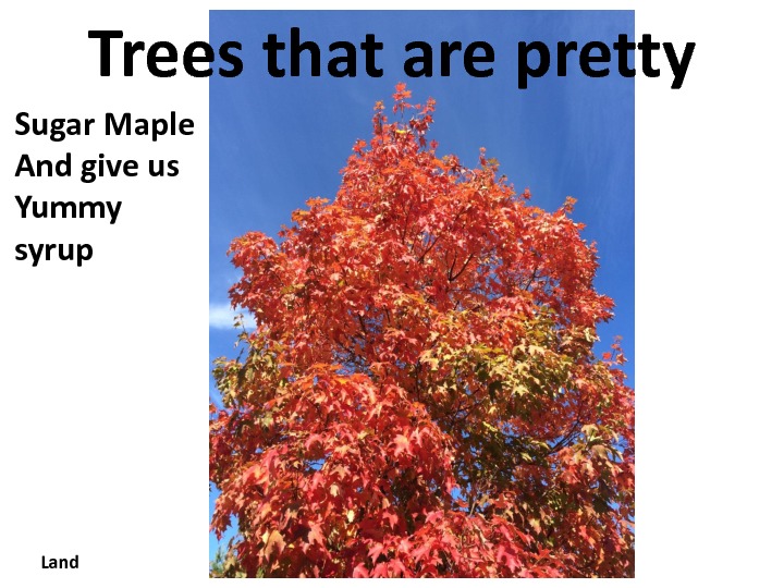 gratitude-slides-9