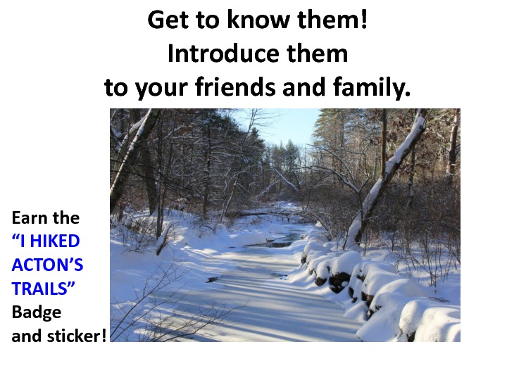 gratitude-slides-90