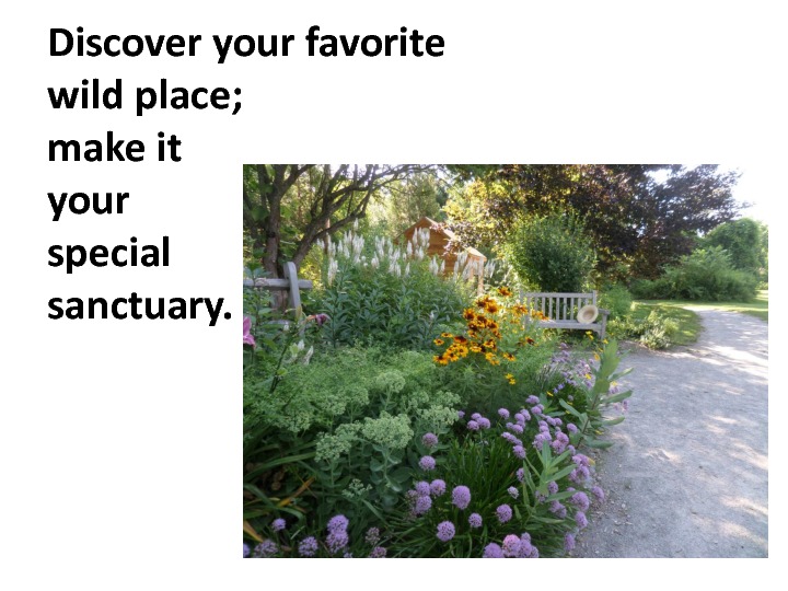 gratitude-slides-91